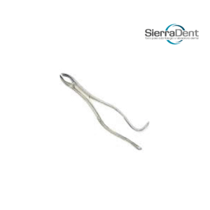 FORCEP #24 SUPERDENT