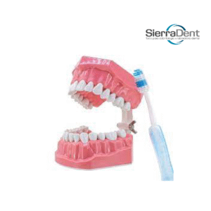 MACROMODELO DYMA+CEPILLO